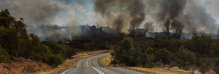 Smouldering bushfire next to a winding road