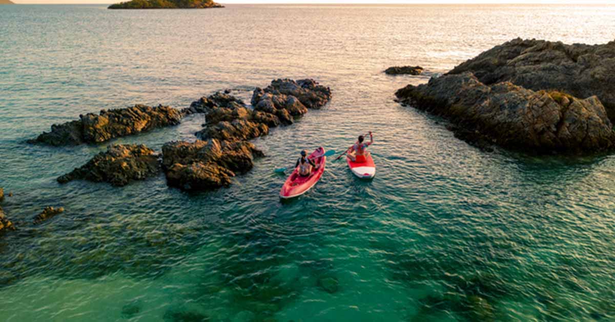 Image people paddling in canoes