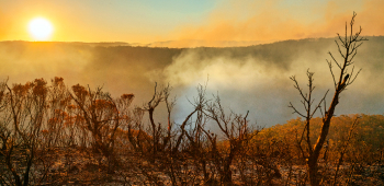 A bushfire