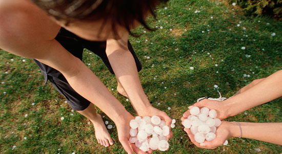 children with handfuls of marble sized hail stones